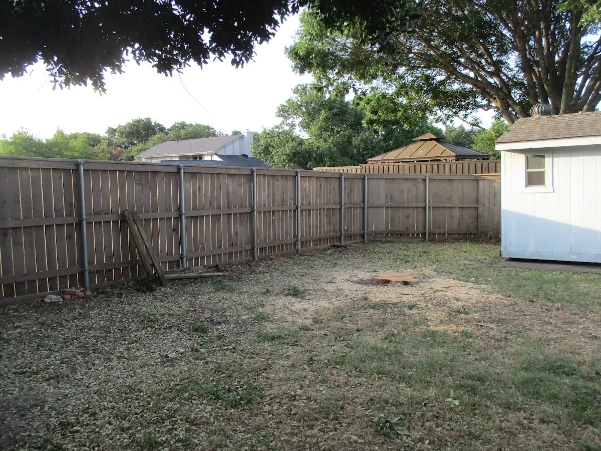 Cleared yard after professional tree removal in Orangeville